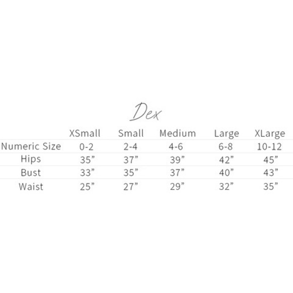 NEW DEX midi embroidered pleated skirt in black - Picture 2 of 4